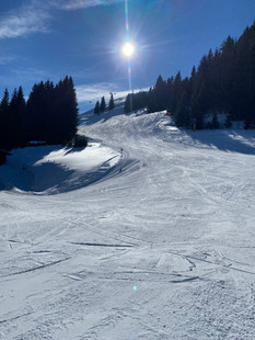 IMG_8473.jpeg