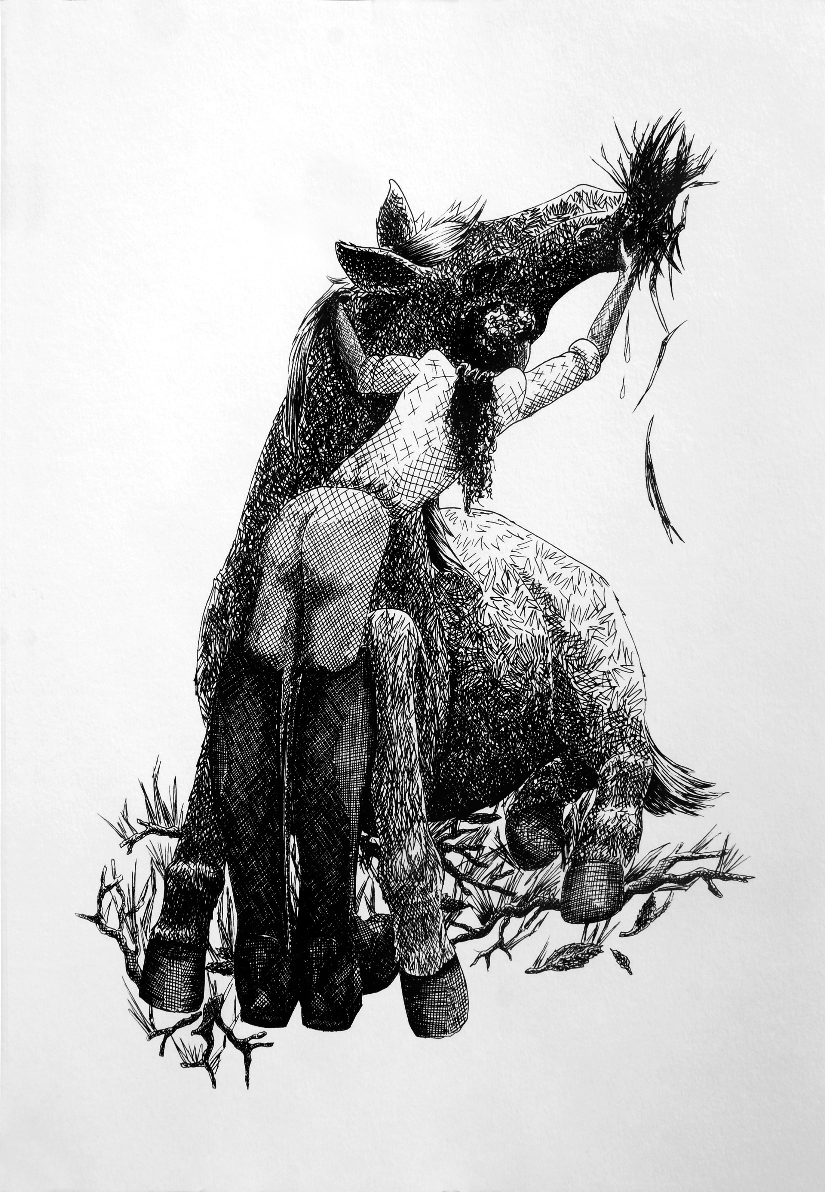 Isabelle Brenot