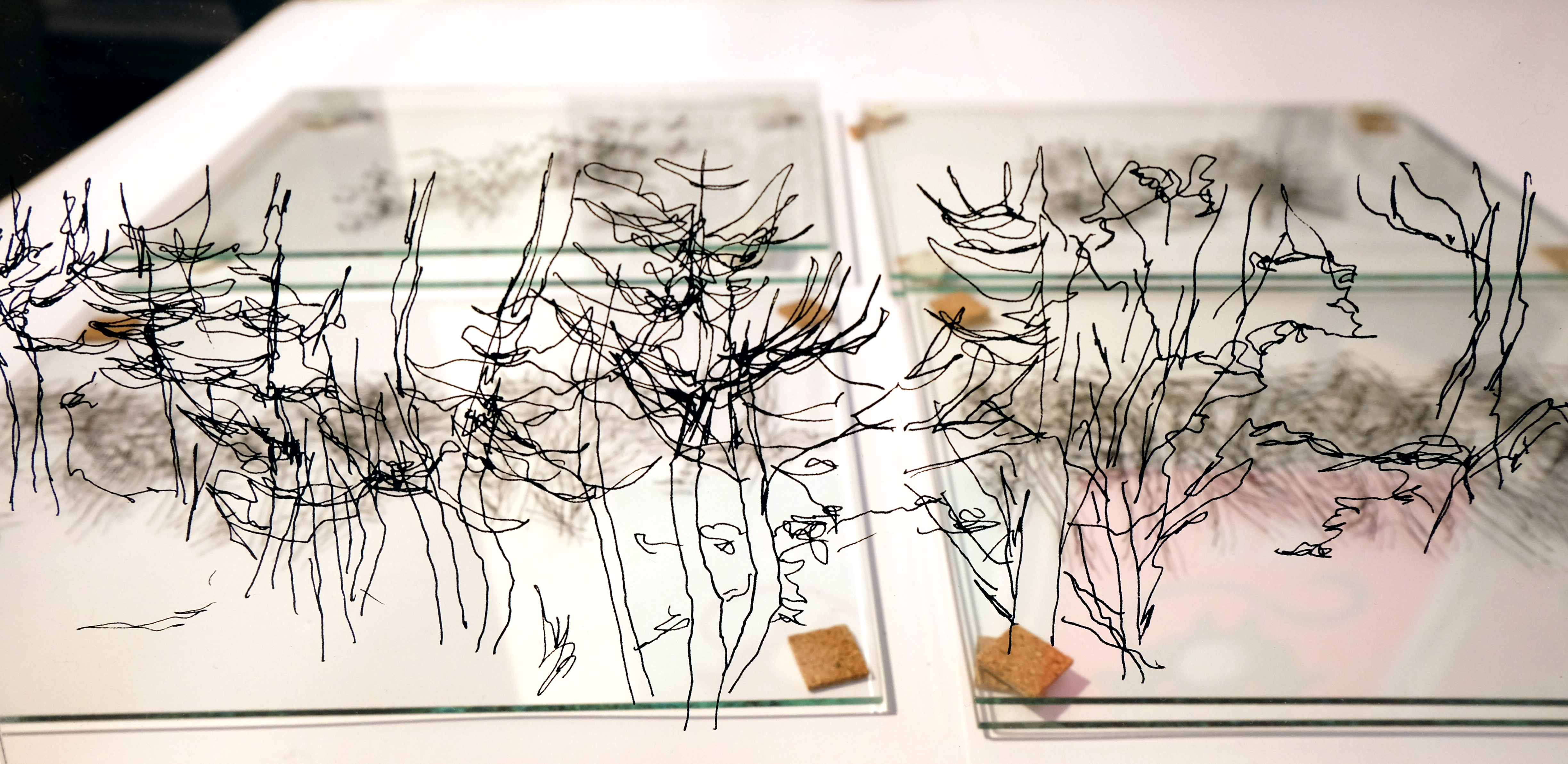 Anne-Laure H-Blanc