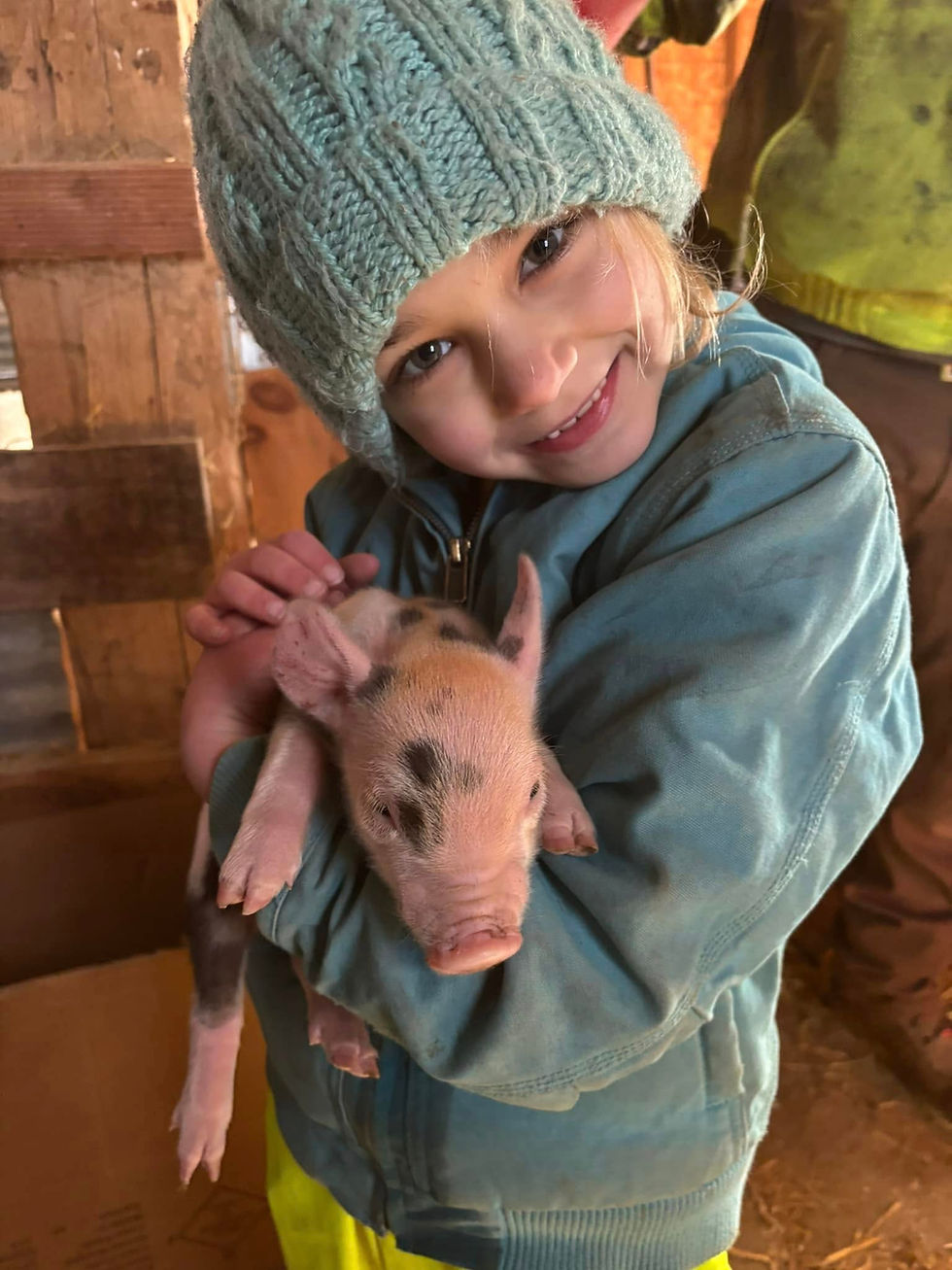 Welcome to Kenneke Family Farm