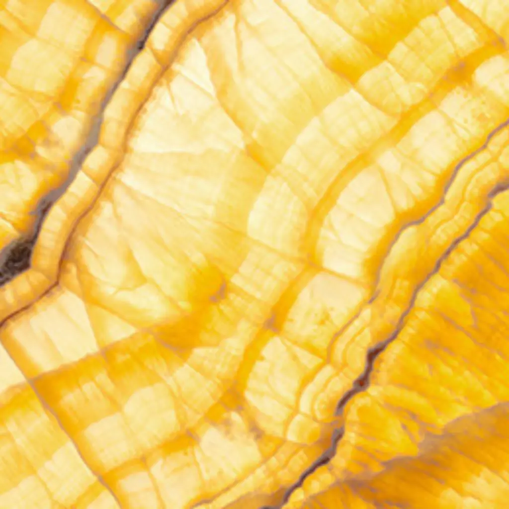 wholesale-marble-turkey-gold.webp