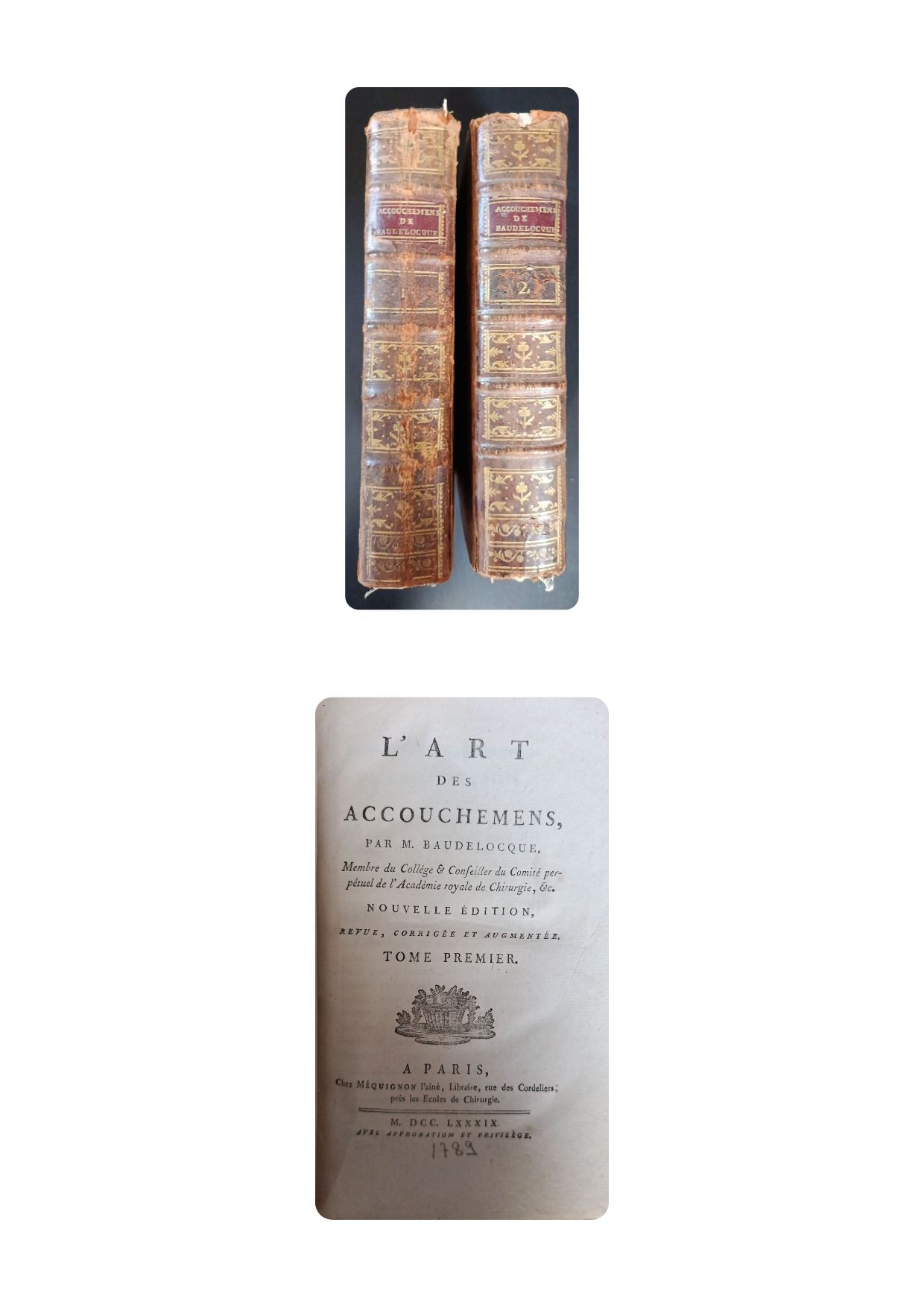 L'art des accouchemens