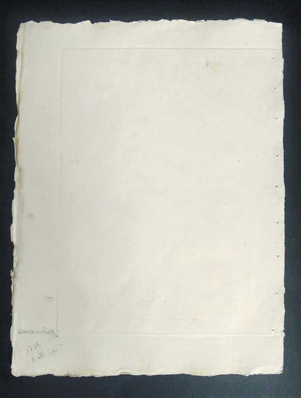 Miniature : Amygdalus, Icosandrie, Monogynie, Fossier, Direxit, Panckoucke, Botanique, fruit