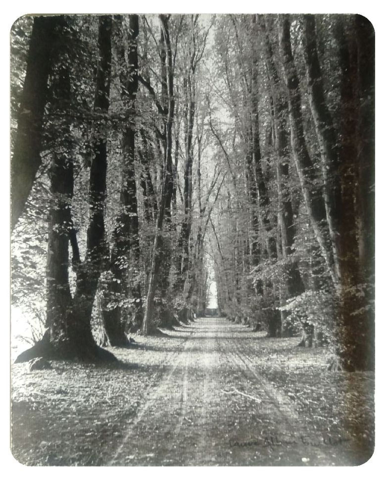 Arbres dialogue de Paul Valéry, illustré de 10 images photographiques de Laure Albain Guillot (Livre Phot)