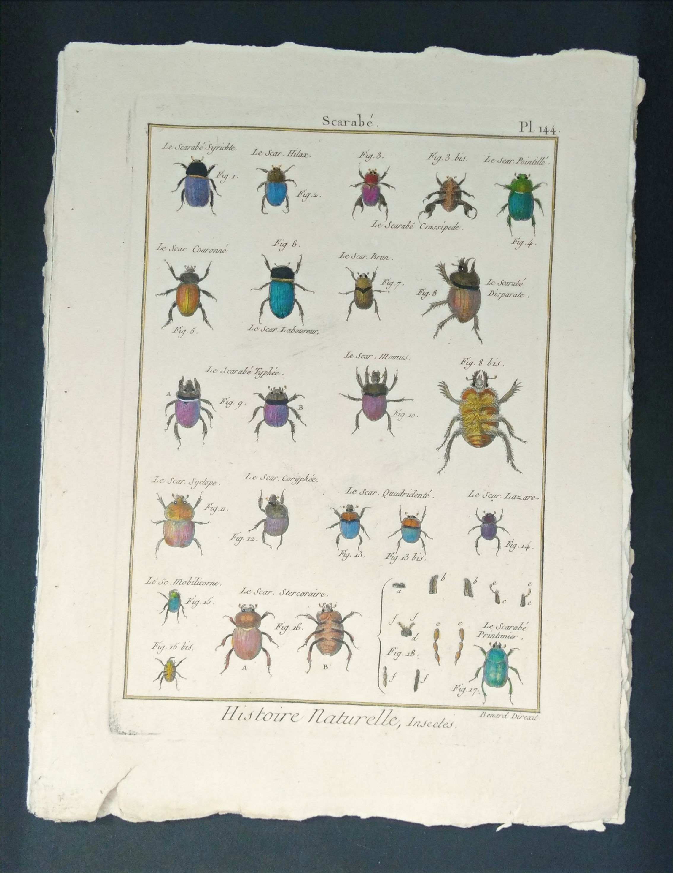 Panckoucke, Scarabé, Typhée, Lazare, gravure
