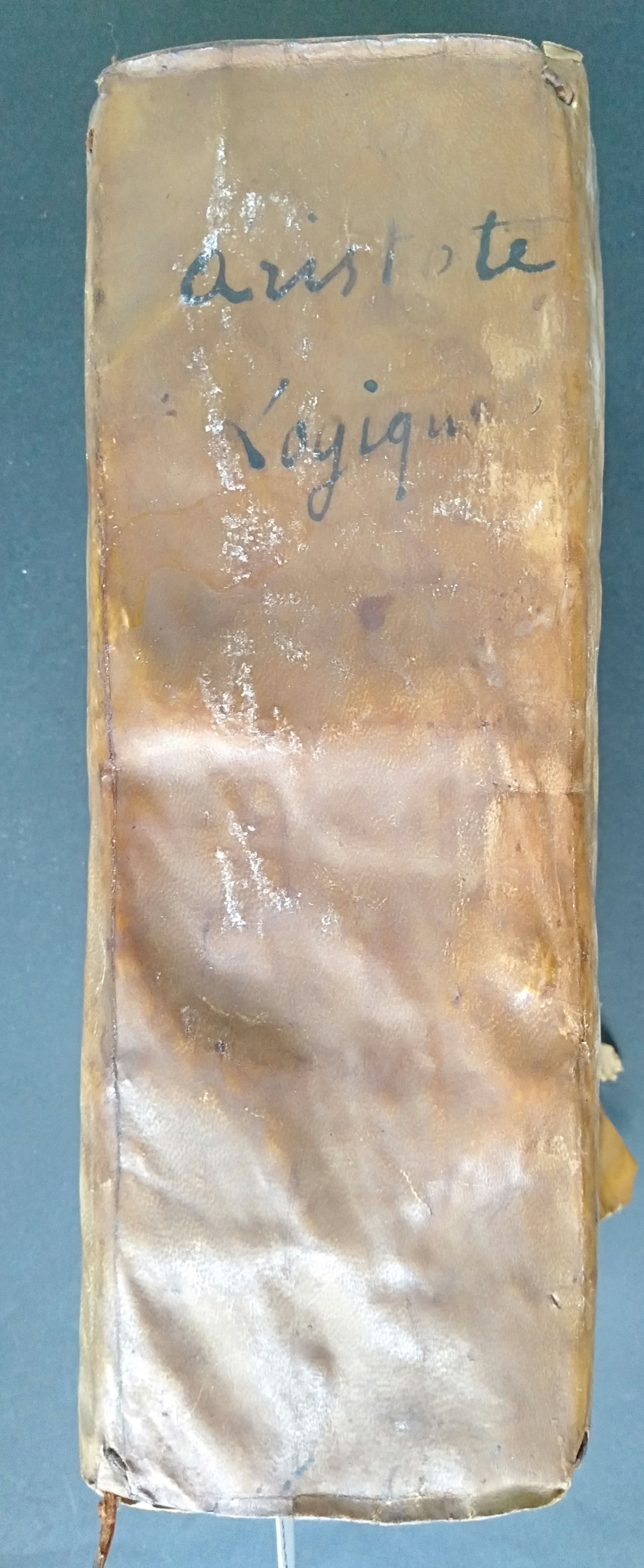 ARISTOTE. ARISTOTELIS - IVL. PACII A BERIGA IN PORPHY-RII ISAGOGEN, Vélin, 1605