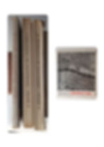 Conversations sur l'architecture I - II - III A. livre