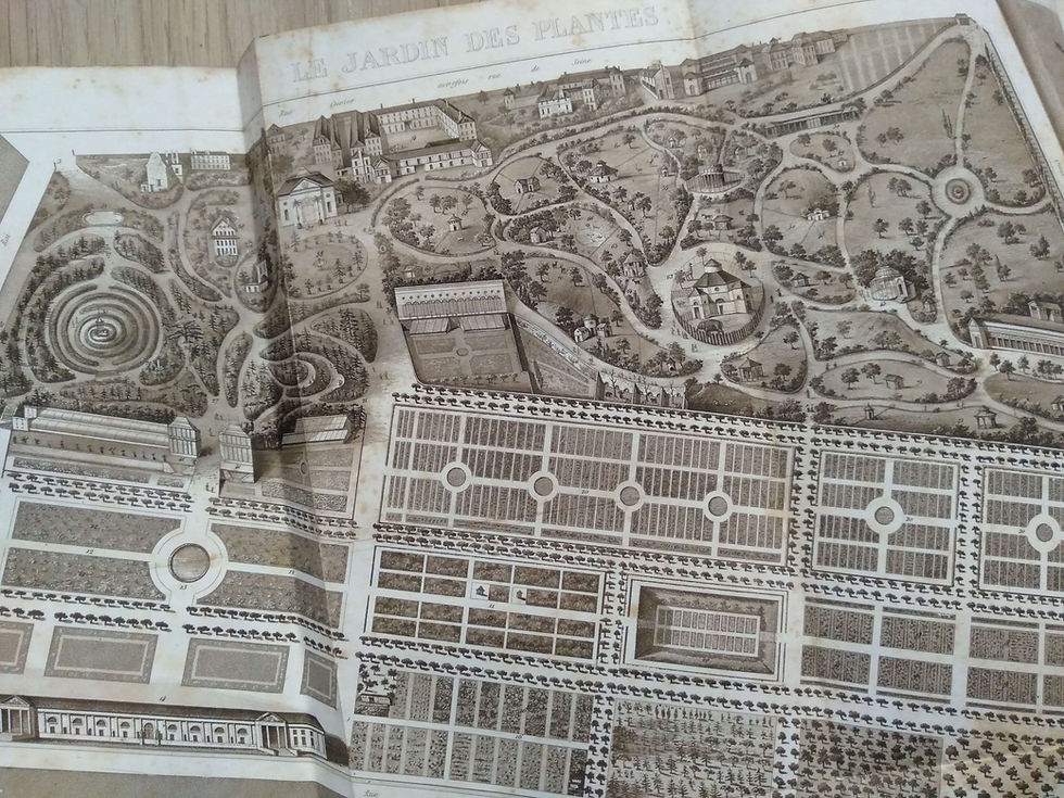 Miniature : Le Jardin des Plantes, BOITARD, JANIN, Buffon, Cuvier, Traviès, 1842, livre