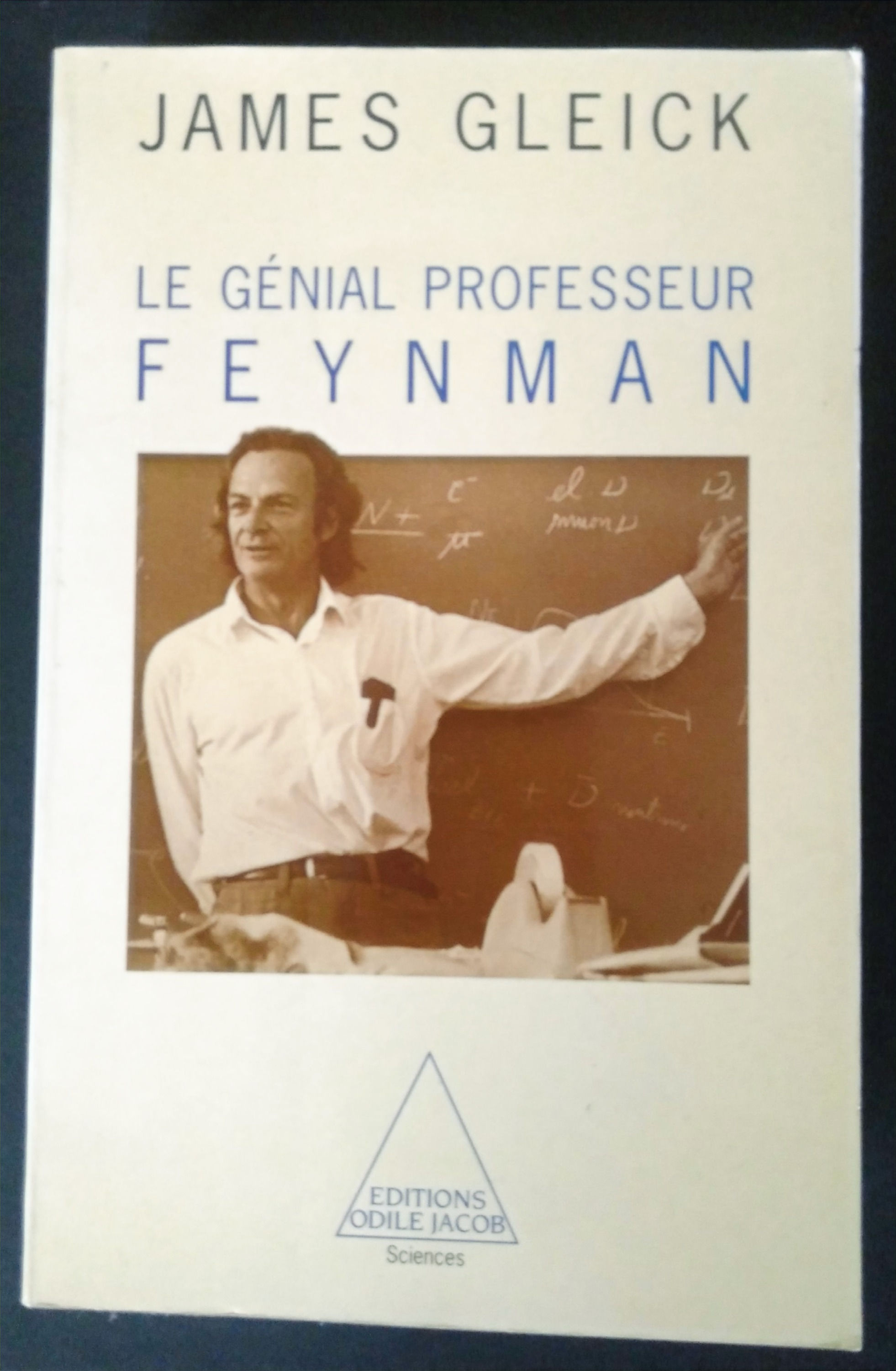 LE GENIAL PROFESSEURFEYNMAN, James GLEICK, livre