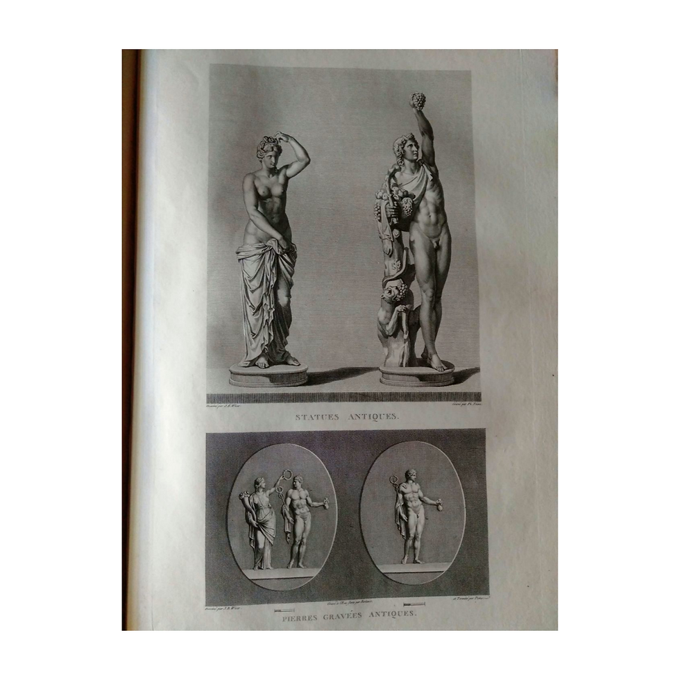 GALERIE DE FLORENCE ET DU PALAIS PITTI, WICAR, MONGEZ, L. 1789, architecture