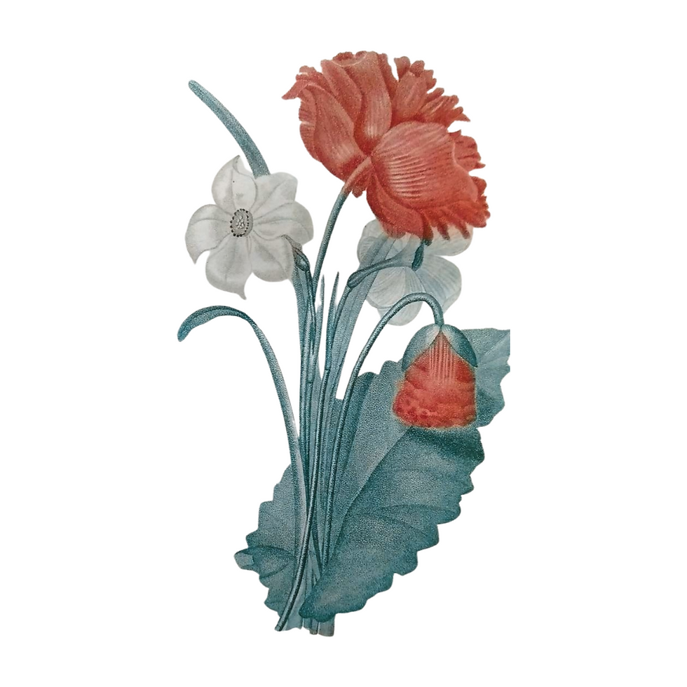 Miniature : DENNE-BARON, Les fleurs Poétiques, LEBIGREF. 1831, livre botanique