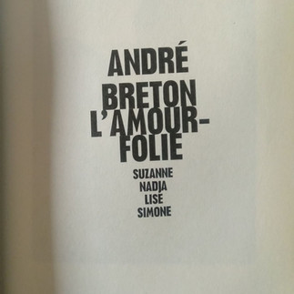 André Breton, l’amour-folie, Georges Sebbag
