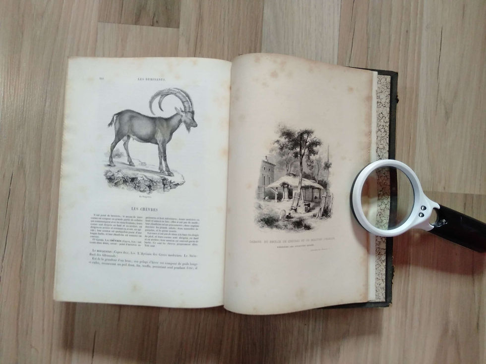 Miniature : Le Jardin des Plantes, BOITARD, JANIN, Buffon, Cuvier, Traviès, 1842, livre