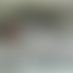 La danse macabre dans l'apocalypse de Saint Jean, vue par Roger Chapelain-Midy