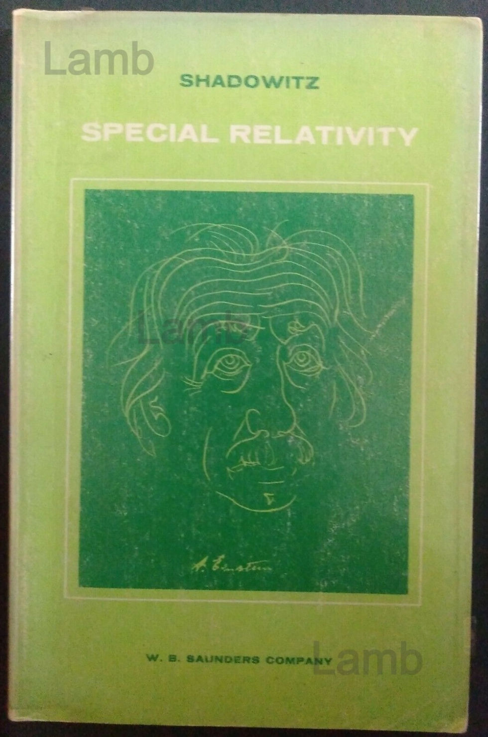 SHADOWITZ - SPECIAL RELATIVITY - SAUNDERS COMPANY