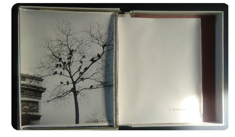 Arbres dialogue de Paul Valéry, illustré de 10 images photographiques de Laure Albain Guillot (Livre Phot)