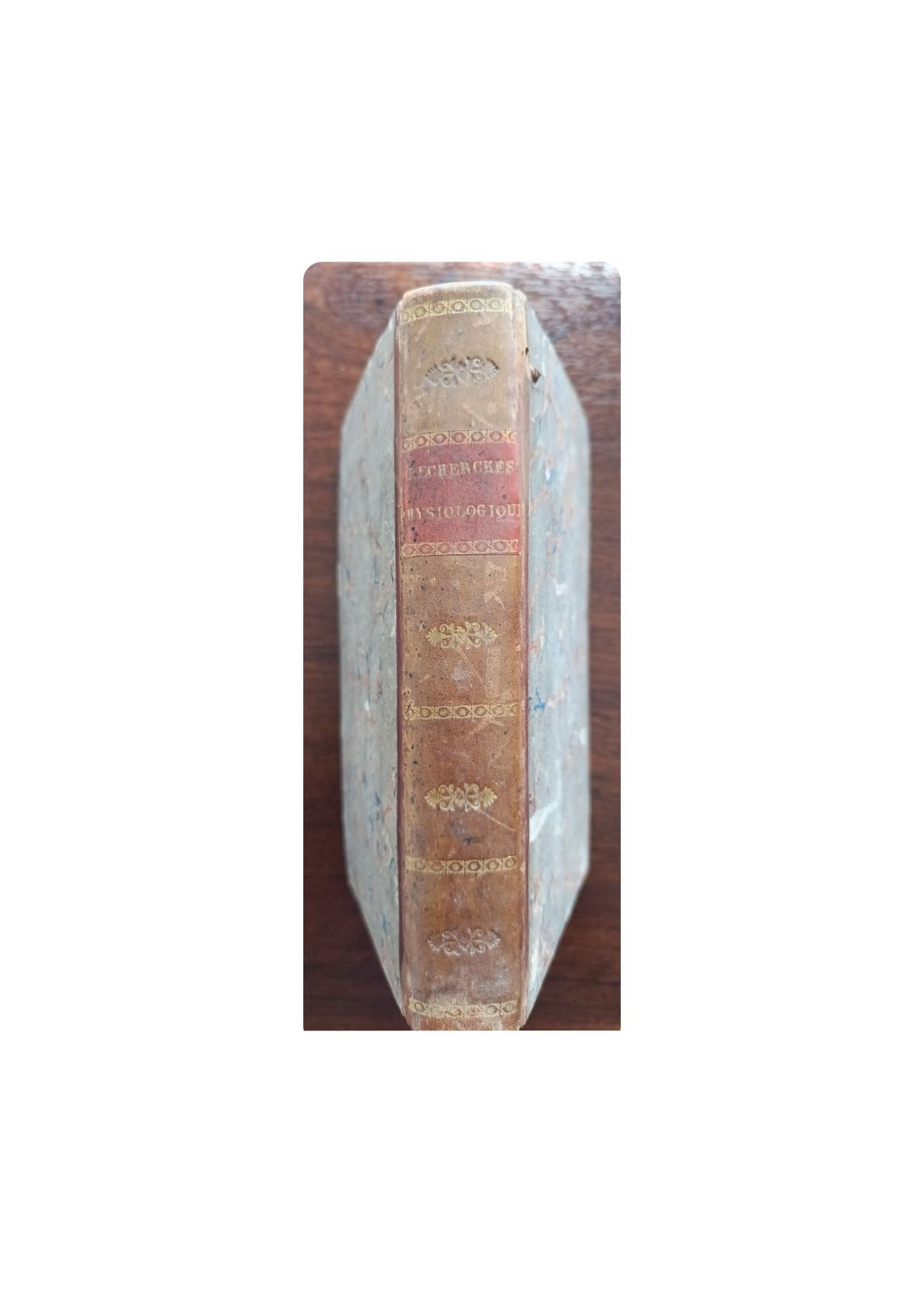 Recherches physiologiques sur la vie et la mort, 1802