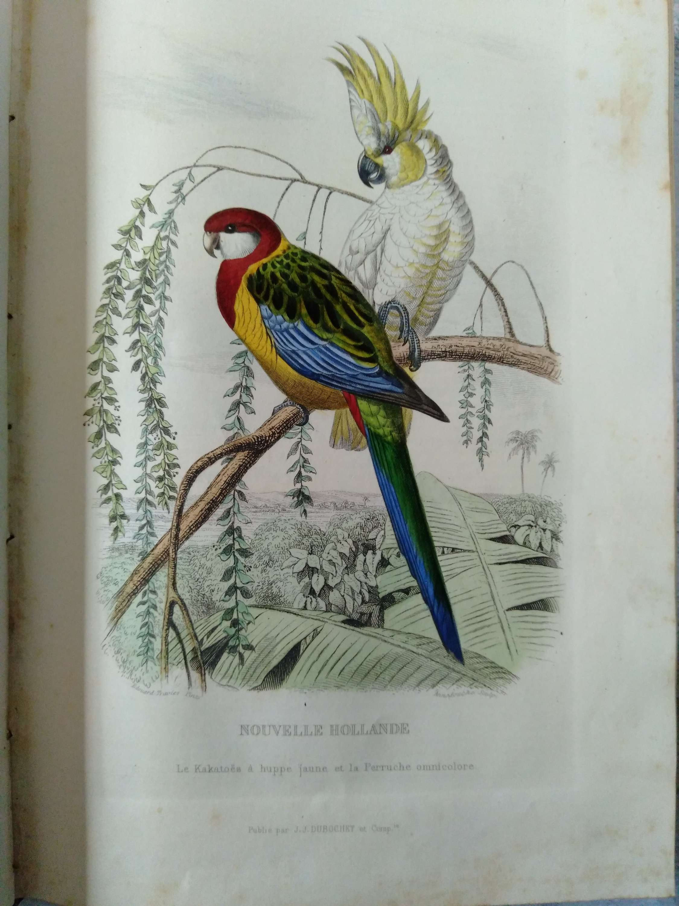Le Jardin des Plantes, BOITARD, JANIN, Buffon, Cuvier, Traviès, 1842, livre