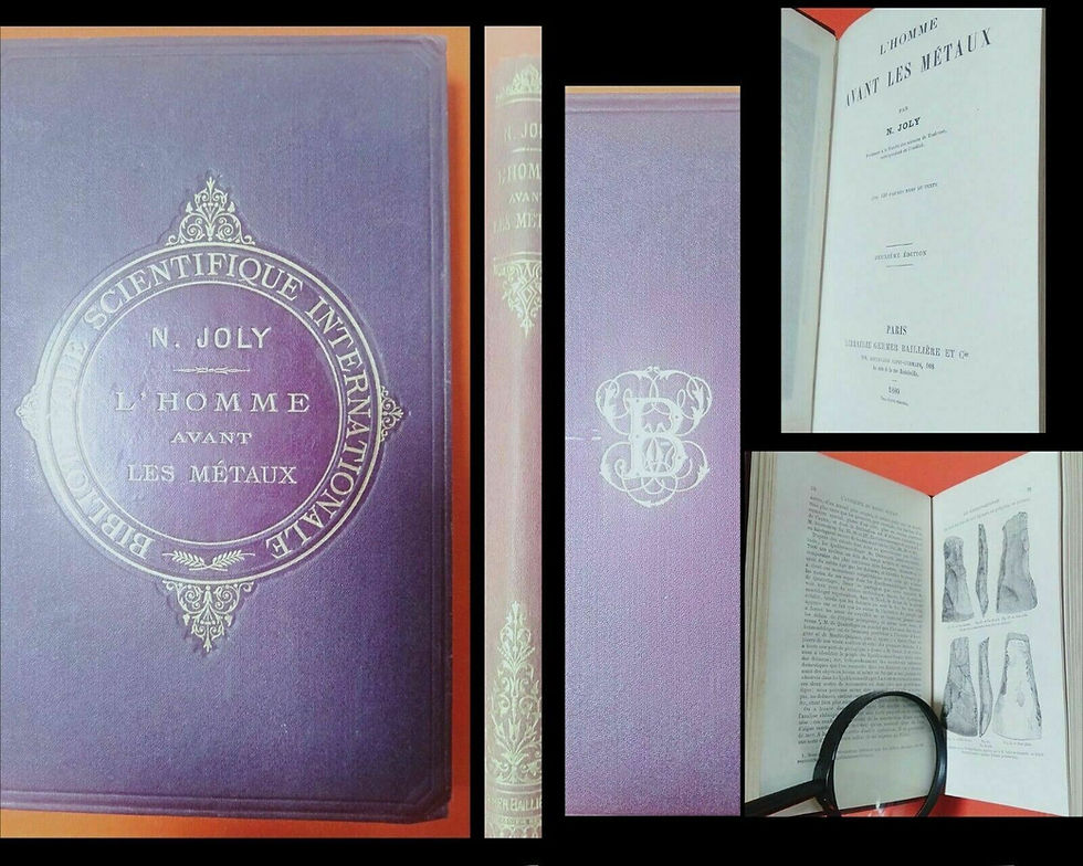 JOLY N. L'Homme avant les métaux