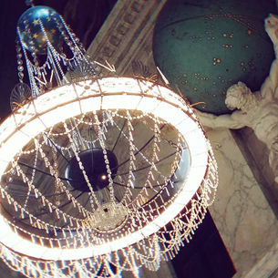 ⚜️ זהירות!!! ⚜️שפה בוטה