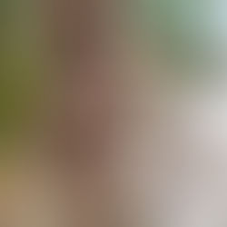 🍄 ההתנסות שלי בפטריות 🍄