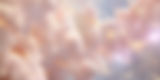 u3356895234_galactic_light_pink_galaxy_background_edited.jpg