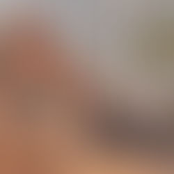 🌴 סדום והמורה🌴