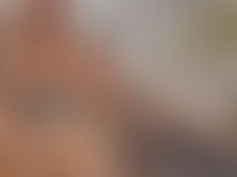 🌴 סדום והמורה🌴