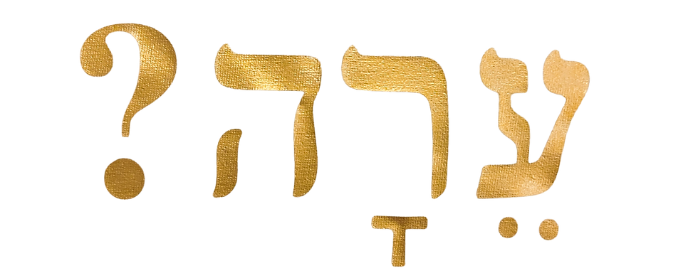 (18 x 18 ')_20240801_195747_0000.png