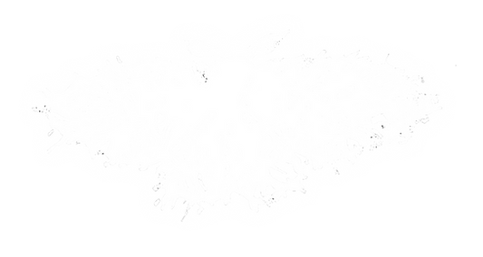 MothTransparentGlow3.png