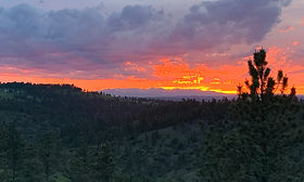 image4 (5).jpeg