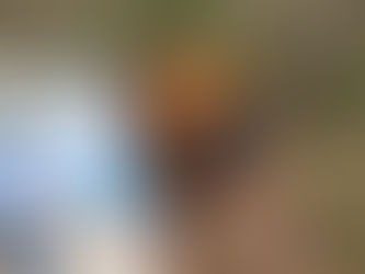 dog with her bark ranger tag