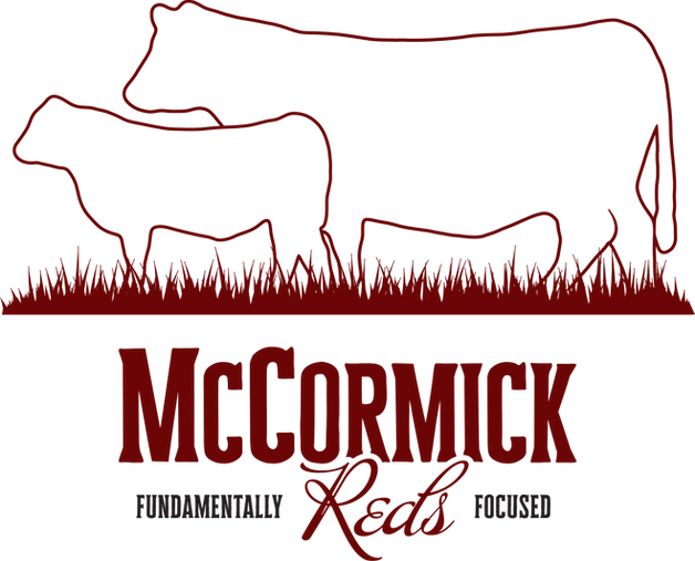 McCormickReds-HomeLogo-Stacked-6C0606.png