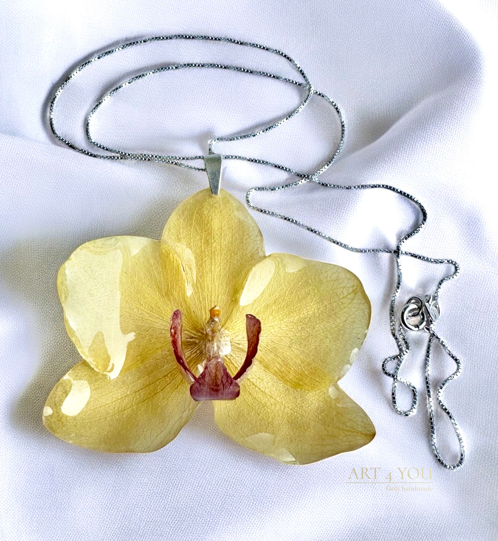 Echoes of Nature - 🌼 Echoes of the Sun