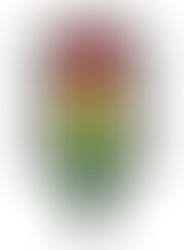 Actividades: Semana 6 de abril al 11 de abril del 2020