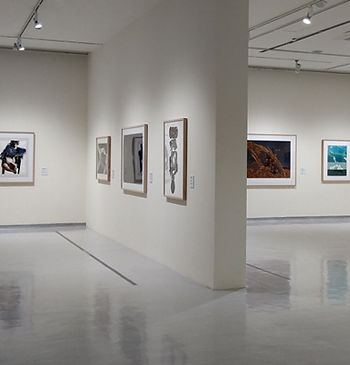 View a wide range of artwork in a gallery to help define your taste in art.