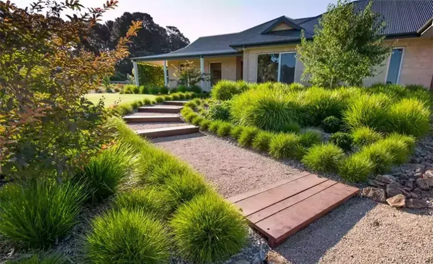 Transform Your Garden with Professional Care Services