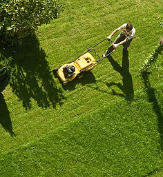 Lawn Mowing Activity_edited.jpg