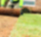 man rolling out grass_edited.jpg