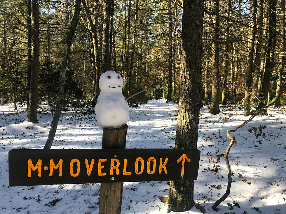 A snowman on top of a mountain sign.