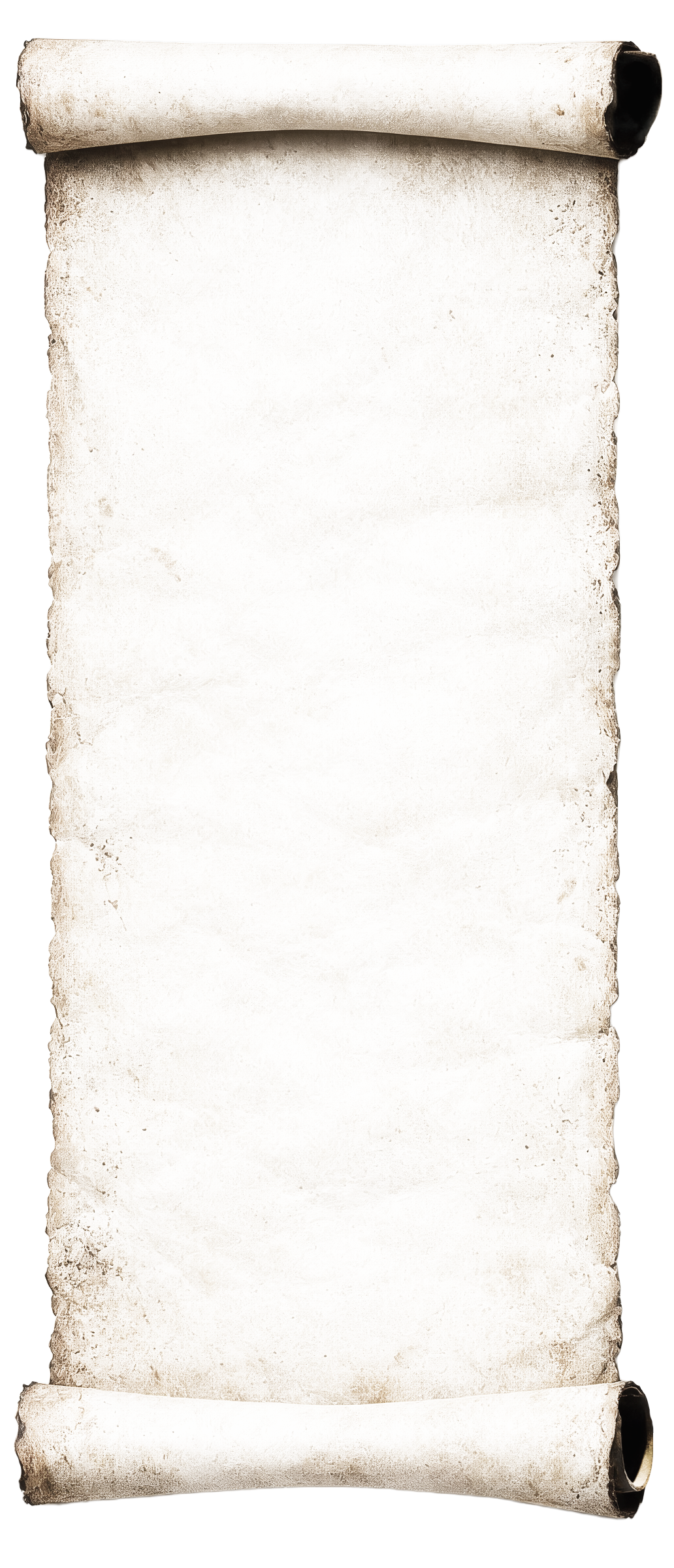 scroll long for website_edited_edited.pn