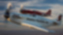 Website-1-2.JPG