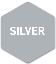 EXTREME-silver.png