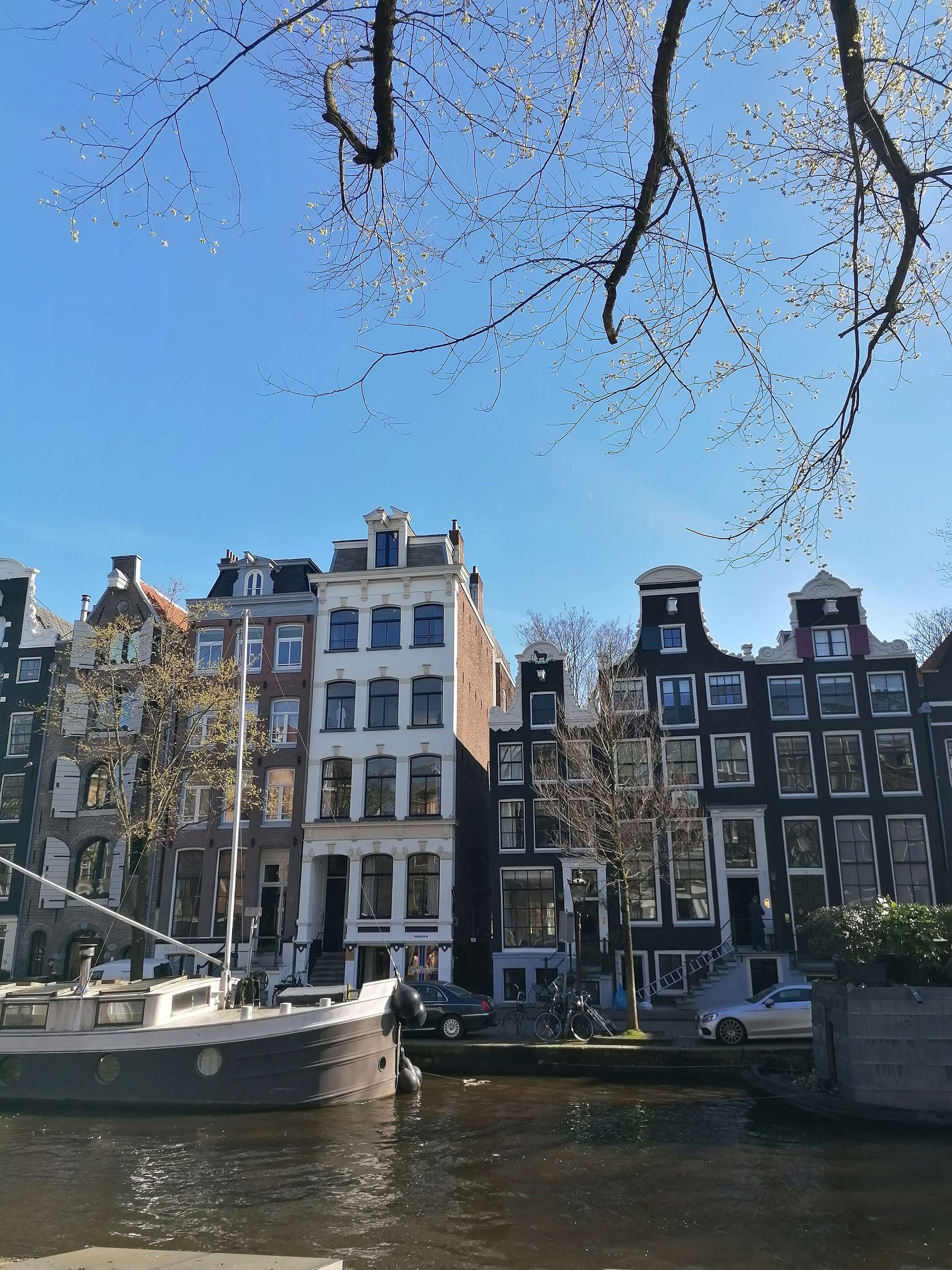 Going Solo in Amsterdam
