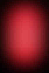 Lucky Lotus by Razzle Dazzle sign