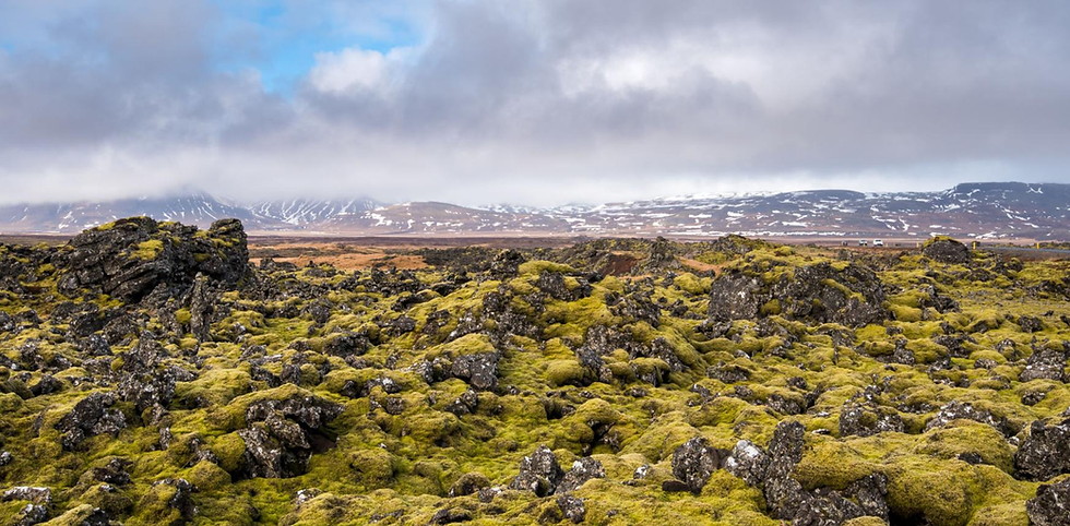 Iceland landscape