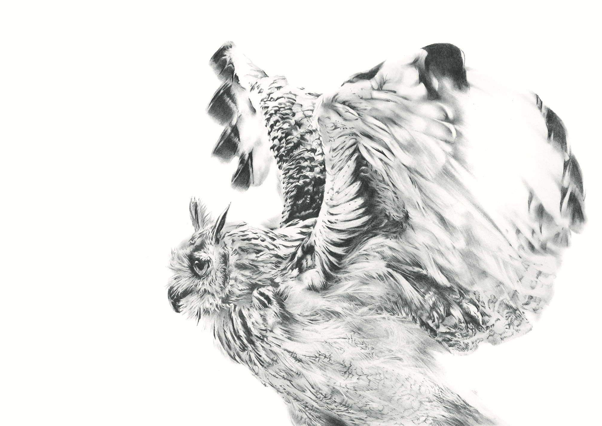 Eagle Owl