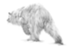 Impressive Polar II