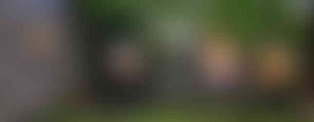 Noslēgusies 2024.gada aizraujošā pop-up izstāžu sezona