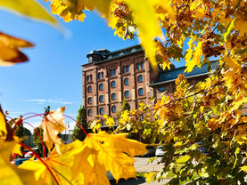 Entdecken, feiern, verbinden: Eulenfest & PS.SPEICHER erleben